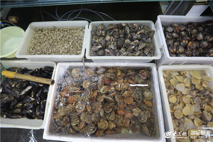 青島 休漁期水產(chǎn)品批發(fā)市場(chǎng)貨源充足，品類豐富價(jià)格穩(wěn)